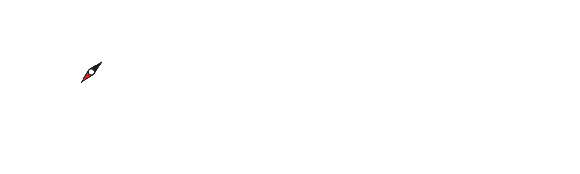 Rotterdam Insight Logo